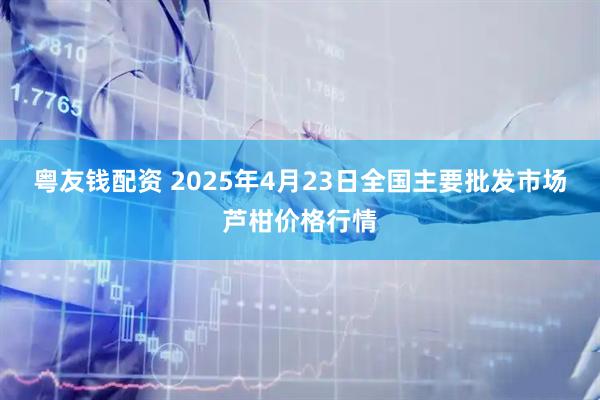 粤友钱配资 2025年4月23日全国主要批发市场芦柑价格行情